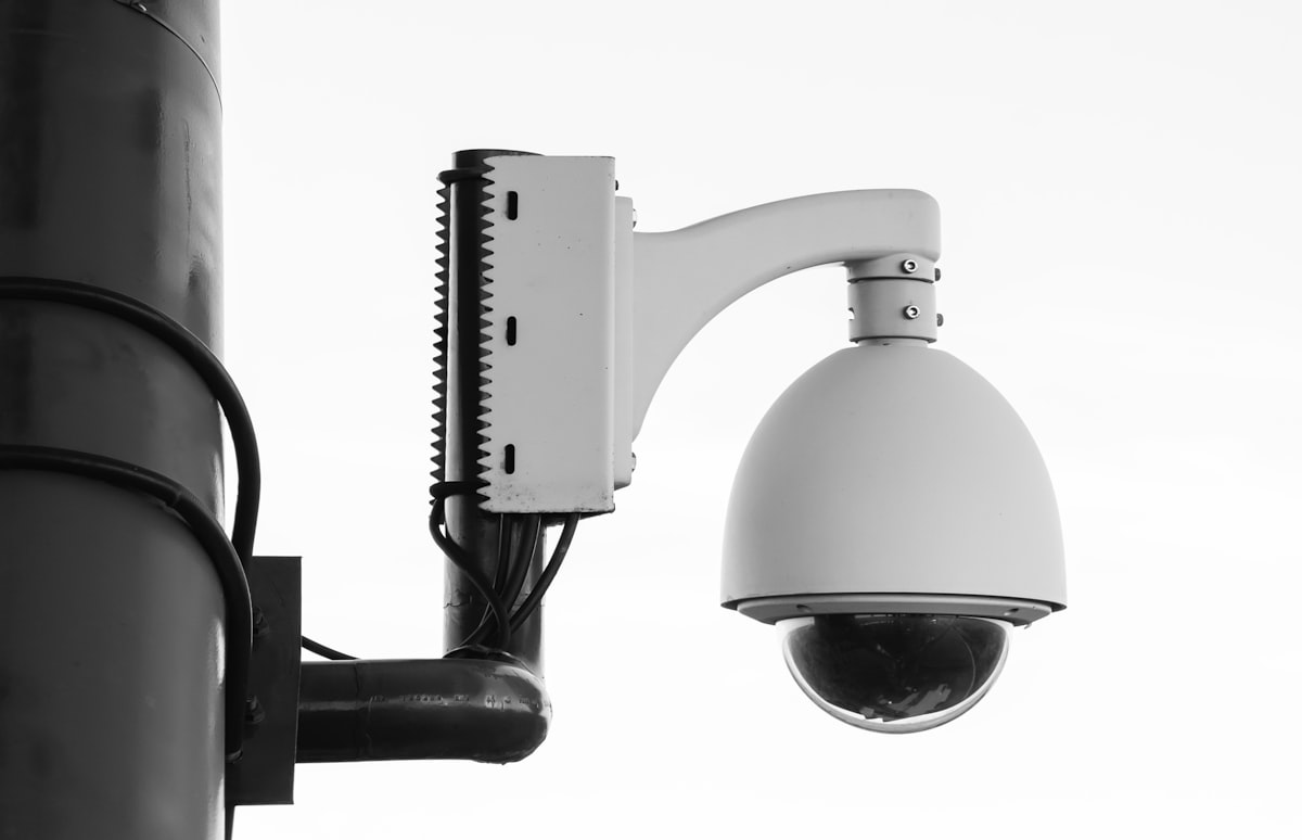 cameras